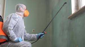 Best Mold Remediation for Healthcare Facilities  in Del Monte Forest, CA