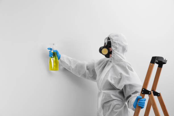 Mold Remediation for Vacation Homes in Del Monte Forest, CA